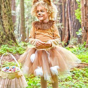 Pottery Barn Lion Tutu Costume Set, Size 4-6